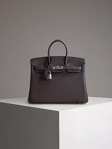 Hermès Сумка Birkin 25 Rouge Sellier Togo Palladium Hardware - фото 1