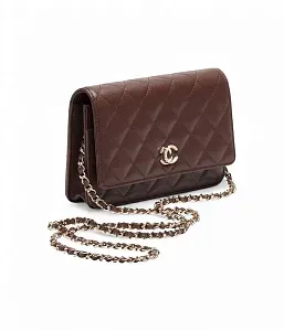 Chanel Сумка Wallet on Chain - фото 2