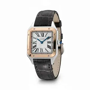 Cartier Часы Santos-Dumont watch Men - фото 4