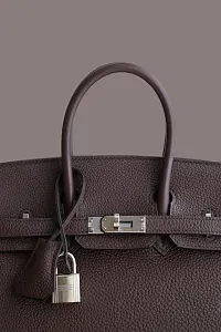 Hermès Сумка Birkin 25 Rouge Sellier Togo Palladium Hardware - фото 4