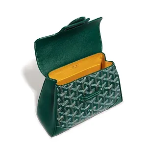 Goyard Мини-сумка Saigon Souple Green - фото 5
