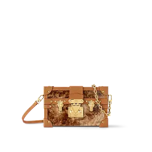 Louis Vuitton Сумка Petite Malle - фото 1