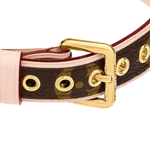 Louis Vuitton Ошейник MM - фото 3