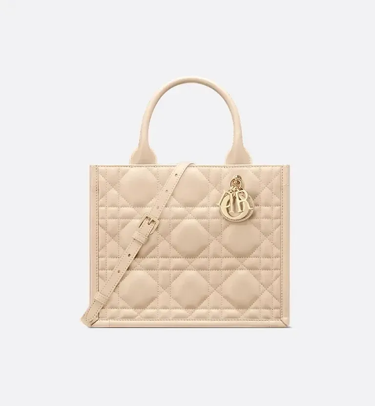Сумка Book Tote calfskin маленького формата Dior Powder Beige - фото 1