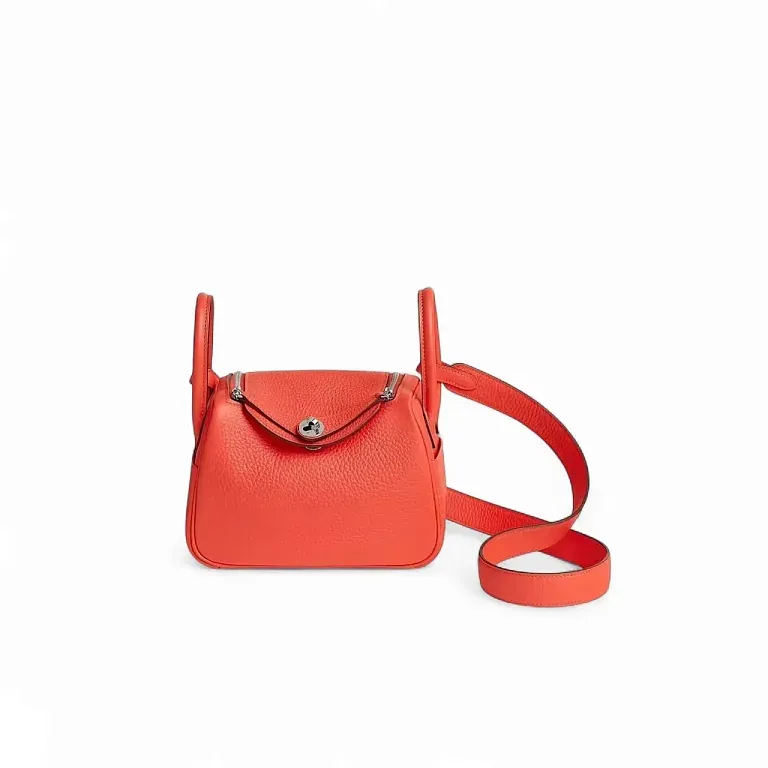 Сумка Lindy Mini Orange Field Clemence Palladium Hardware Hermes - фото 1