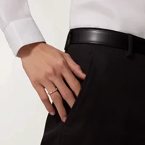 Cartier Обручальное кольцо Maillon Panthere с бриллиантовым паве - фото 3