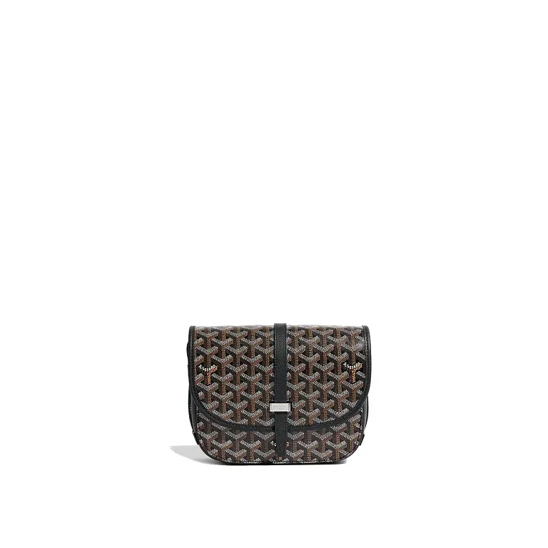 Сумка Belvedere PM Goyard Black - фото 1