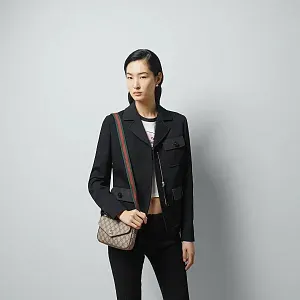 Gucci Мини-сумка Ophidia Beige / Ebony - фото 2