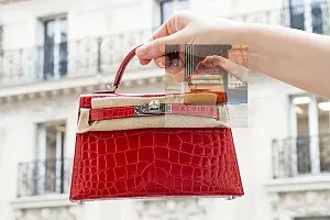 Hermès Kelly 20 Geranium Alligator Missi Lisse Palladium Hardware - фото 2