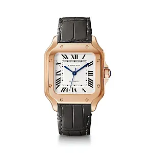 Cartier Часы Santos de watch Men - фото 1