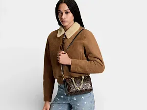 Louis Vuitton Сумка Speedy 20 - фото 2