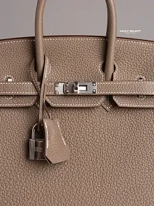 Hermès Сумка Birkin 25 Etoupe Togo Palladium Hardware - фото 4