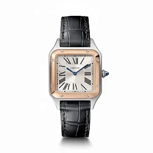 Cartier Часы Santos-Dumont watch Men - фото 1