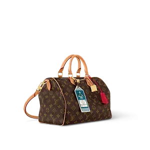 Louis Vuitton Сумка Speedy Soft 30 Crafty - фото 2