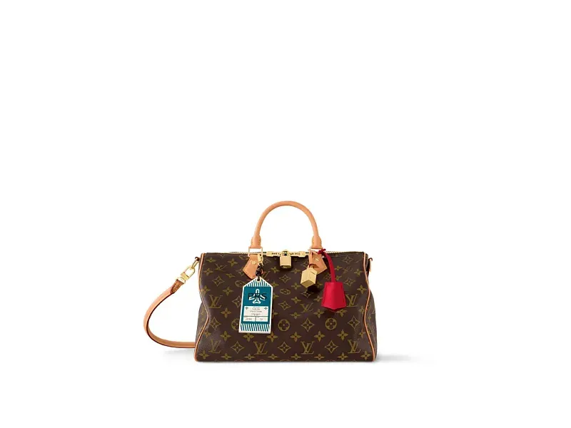 Louis Vuitton Сумка Speedy Soft 30 Crafty - фото 1
