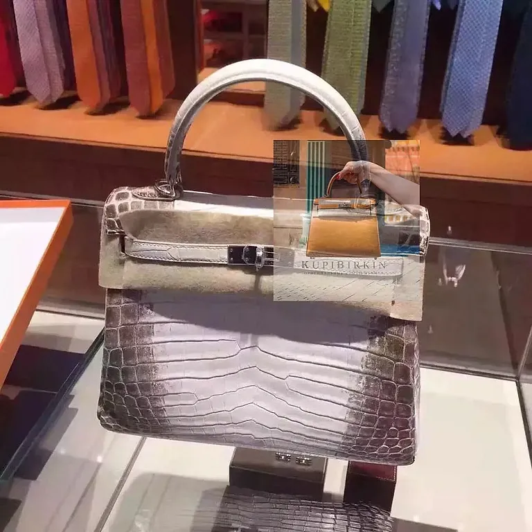 Hermes Kelly 25 Himalaya PHW - фото 1