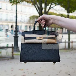 Hermès Сумка Birkin 25 Black Togo Gold Hardware - фото 2