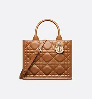 Dior Сумка Book Tote calfskin маленького формата Golden Saddle - фото 1