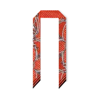Louis Vuitton Шелковая лента Sailor Bandana BB Vermillon - фото 1