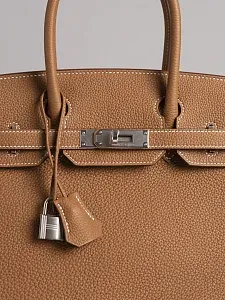 Hermès Cумка Birkin 30 Gold Togo Palladium Hardware - фото 4