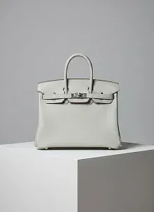 Hermès Сумка Birkin 25 Gris Perle Swift Palladium Hardware - фото 1