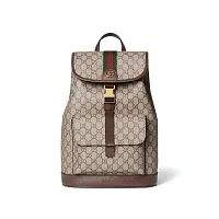 Gucci Маленький рюкзак Ophidia Beige and Dark Brown - фото 1