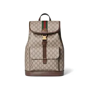 Gucci Маленький рюкзак Ophidia Beige and Dark Brown - фото 1