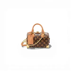 Louis Vuitton Сумка Speedy Trunk 20 CB - фото 1