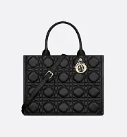 Dior Сумка Book Tote calfskin среднего формата Black - фото 1