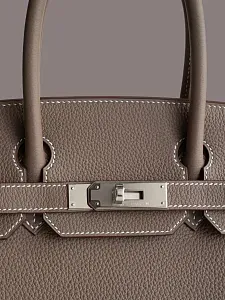 Hermès Cумка Birkin 30 Etoupe Togo Palladium Hardware - фото 4