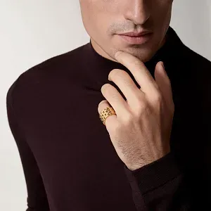 Cartier Кольцо Maillon Panthere Five Rows Men - фото 2
