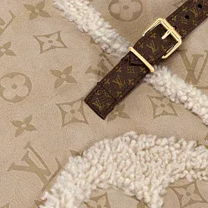 Louis Vuitton Шарф Shearling LV Snug - фото 3