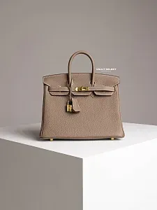 Hermès Сумка Birkin 25 Etoupe Togo Gold Hardware - фото 1