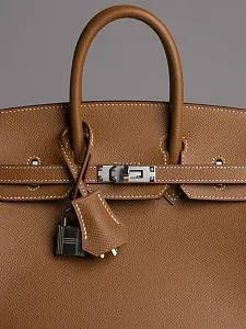 Hermès Сумка Birkin 25 Gold Epsom Palladium Hardware - фото 3