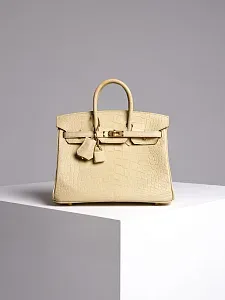 Hermès Cумка Birkin 25 Vanille Alligator Mississippiensis Matt Gold Hardware - фото 1