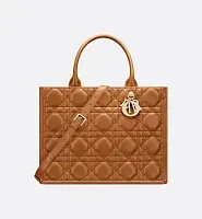 Dior Сумка Book Tote calfskin среднего формата Golden Saddle - фото 1