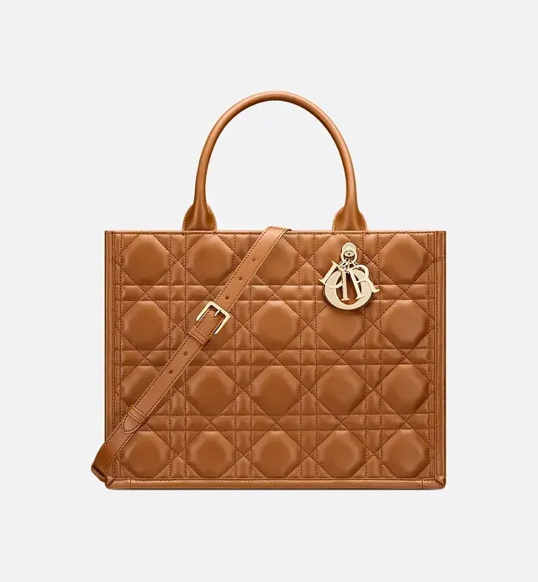 Сумка Book Tote calfskin среднего формата Dior Golden Saddle - фото 1