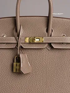 Hermès Сумка Birkin 25 Etoupe Togo Gold Hardware - фото 4