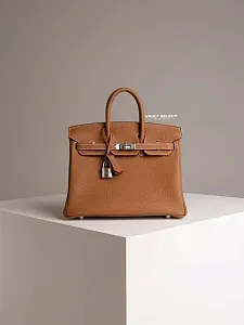 Hermès Сумка Birkin 25 Gold Togo Palladium Hardware - фото 1