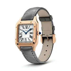Cartier Часы Santos-Dumont watch Men - фото 4