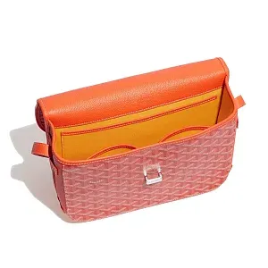 Goyard Сумка Belvedere MM Orange - фото 3