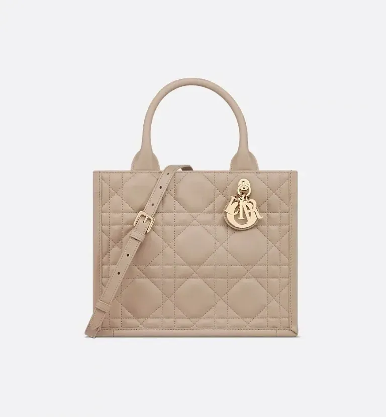 Сумка Book Tote calfskin маленького формата Dior Warm Taupe - фото 1