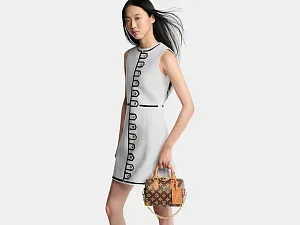 Louis Vuitton Сумка Speedy Trunk 20 CB - фото 2