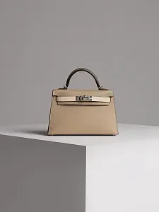 Hermès Сумка Kelly Mini 20 Trench Craie Etoupe Epsom Palladium Hardware - фото 1