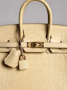 Hermès Cумка Birkin 25 Vanille Alligator Mississippiensis Matt Gold Hardware - фото 5