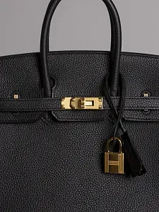 Hermès Сумка Birkin 25 Black Togo Gold Hardware - фото 3