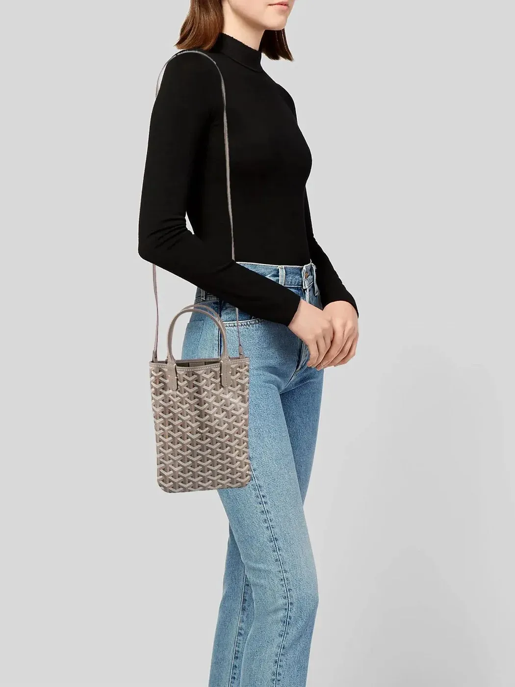 Goyard Сумка Poitiers Claire-Voie - фото 2