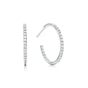 Tiffany & Co. Cерьги Metro Hoop Earrings White Gold - фото 1