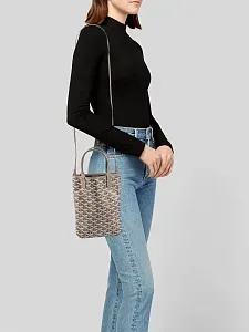 Goyard Сумка Poitiers Claire-Voie - фото 2