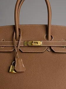 Hermès Сумка Birkin 35 Gold Togo Gold Hardware - фото 3